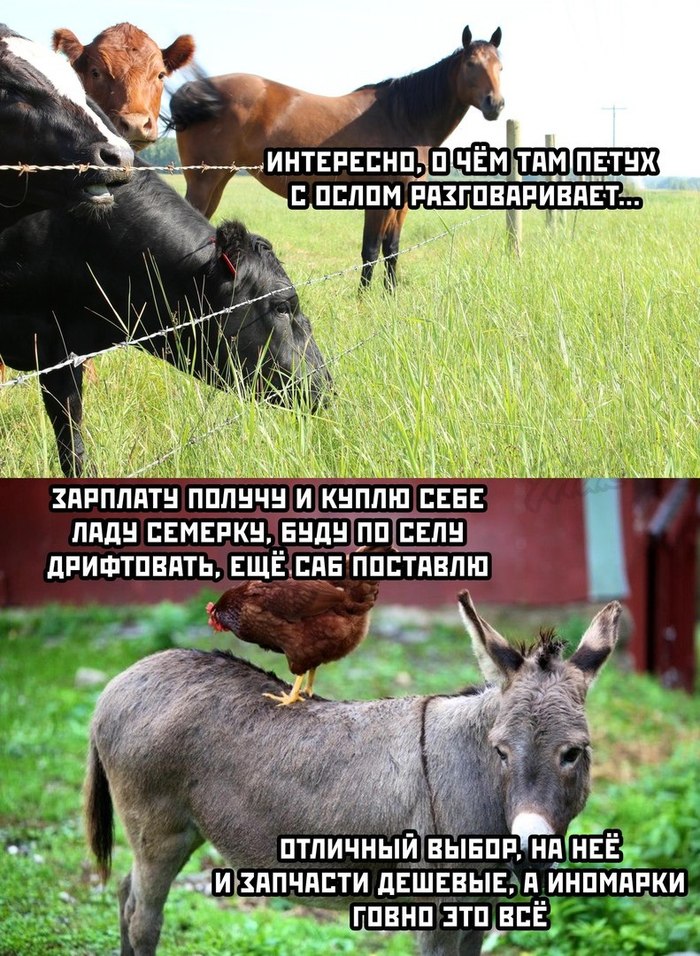   , 