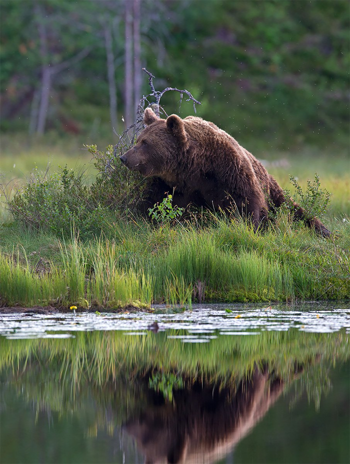 ... , , The National Geographic, 