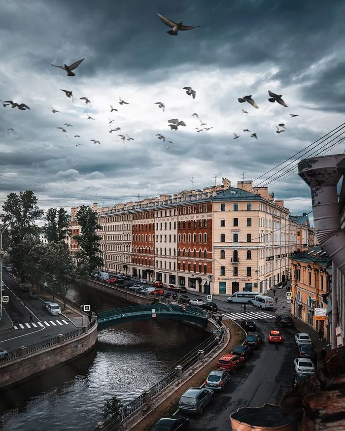 Embankment of the Griboyedov Canal - Griboyedov Canal, Saint Petersburg, Birds, Sennaya Square, The clouds, The photo