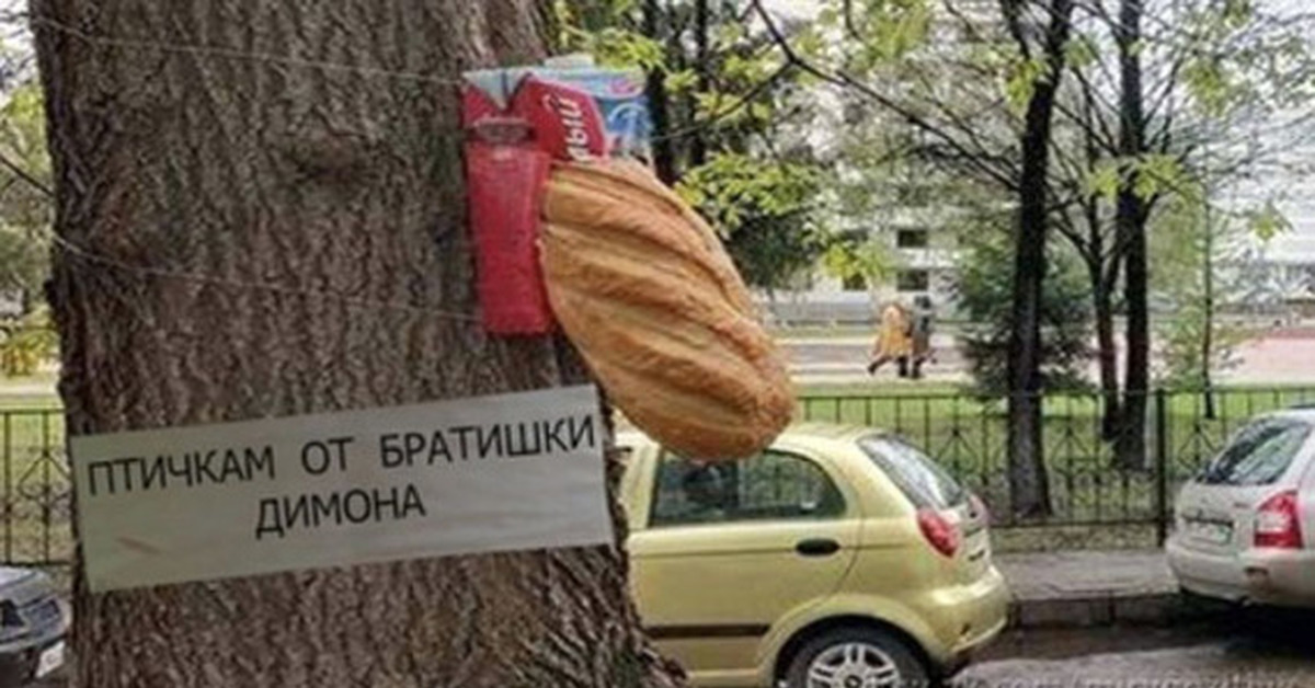 Птичкам от владика владику от птичек картинка прикол