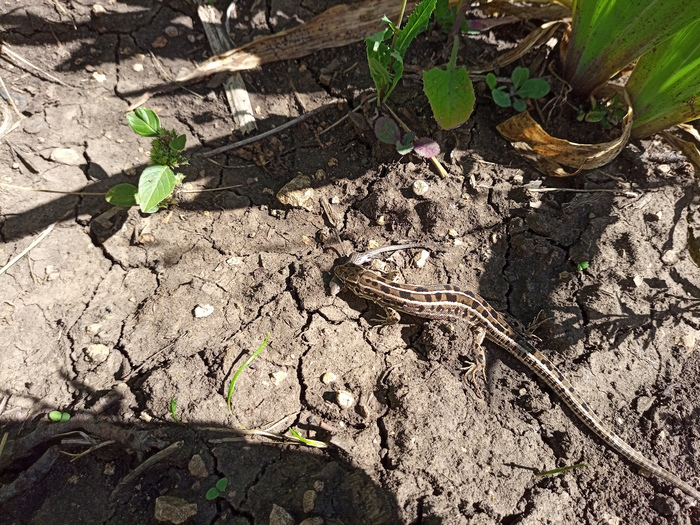 Природа великолепна!!!