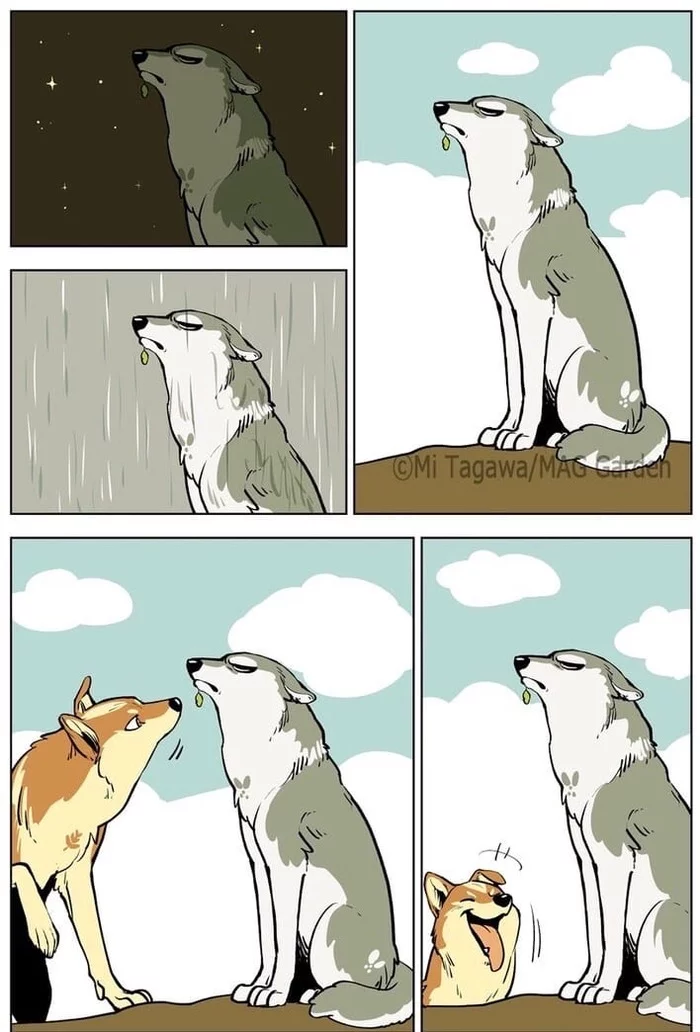 Patience is rewarded - Comics, Wolf, Hunter, Patience, Longpost