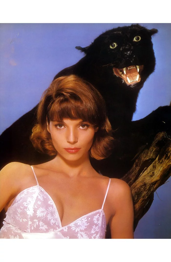 Panther look :) - The photo, Strange humor, Actors and actresses, 60th, Panther