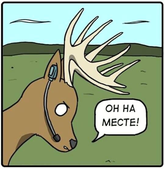 Deer Hunter - Comics, Humor, Tubey Toons, Hunting, Deer, Longpost