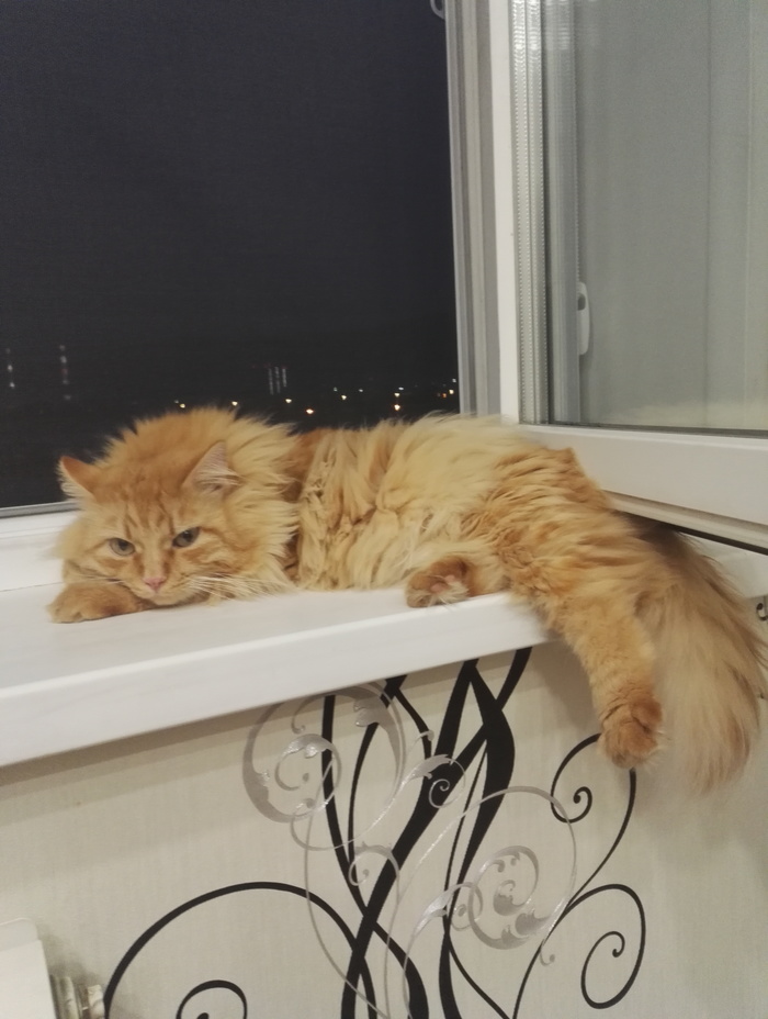 ���� �� ���������� ���� �������!!!!