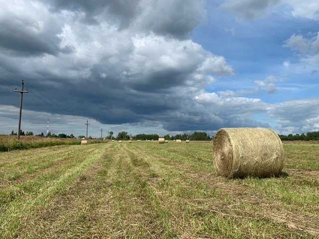 Haymaking - My, Haymaking, Summer, Longpost