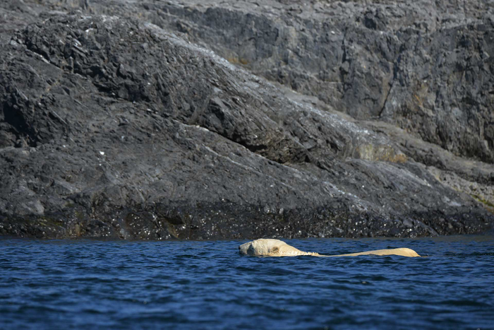  ... ,  , , , The National Geographic, ,   