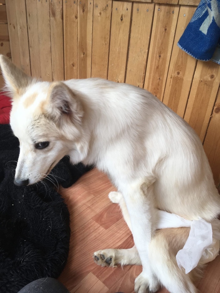 ����� ������ ����������!