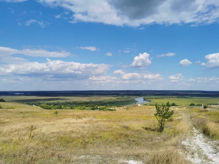 Voronezh expanses - My, Field, August, Don, Mobile photography, Nature, Voronezh region, Longpost