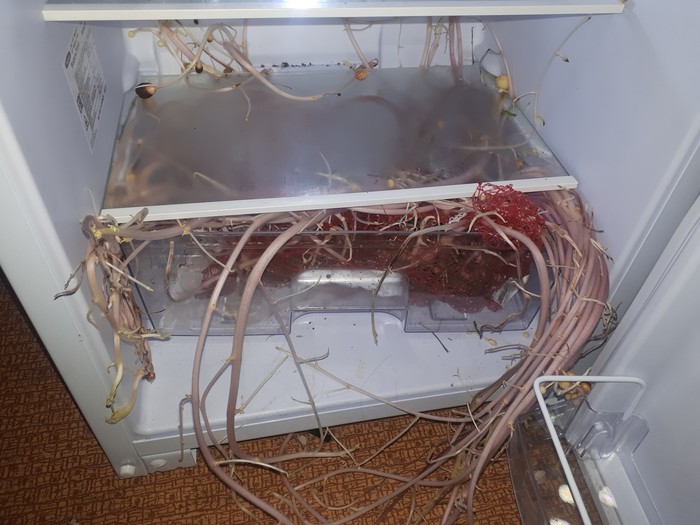 ���������, ����������� � ������ �� 3 ������