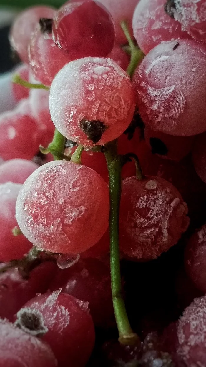 Currant - My, Macro photography, Berries, Currant, Ice, The photo