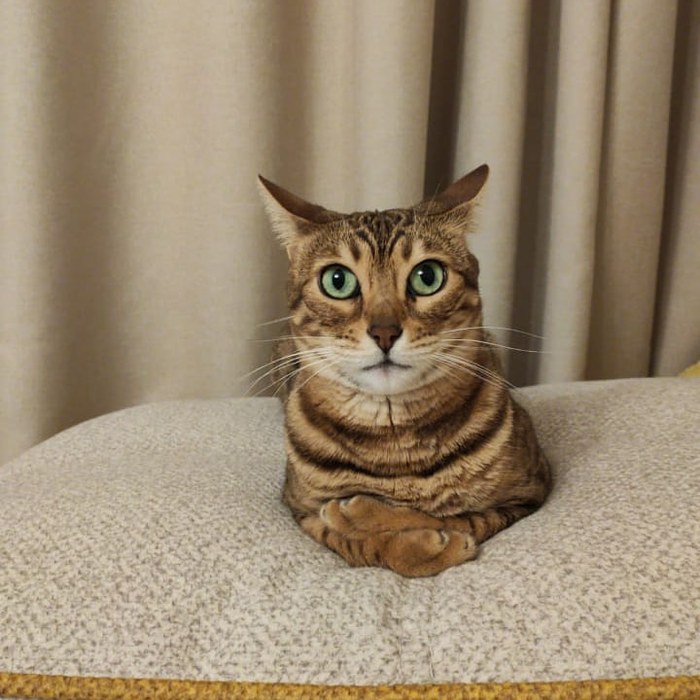 ��� �� ������ ;)