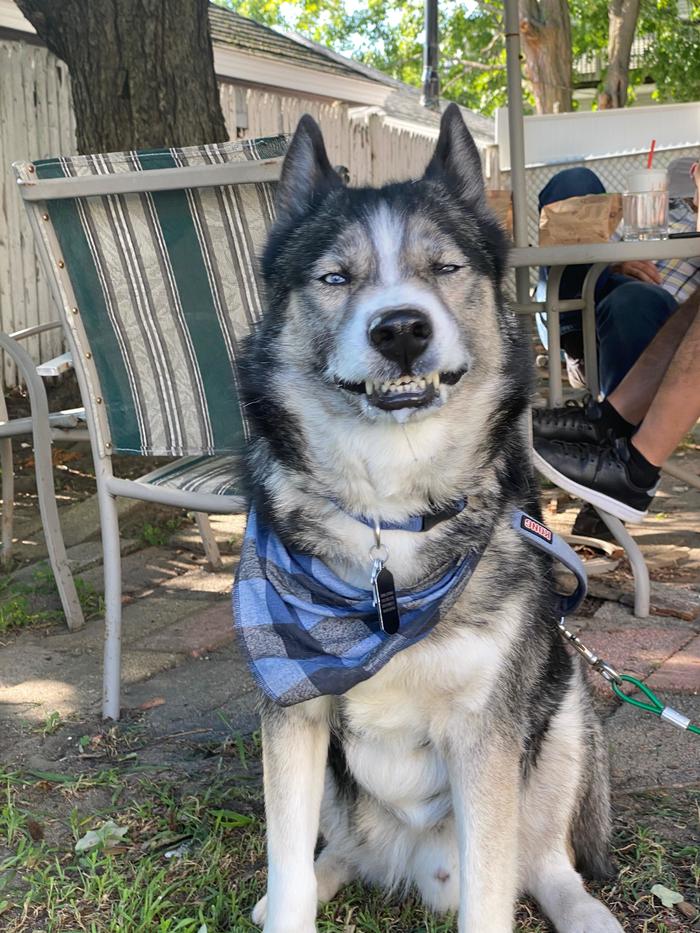 Каждый раз, когда мне говорят улыбнуться для фото