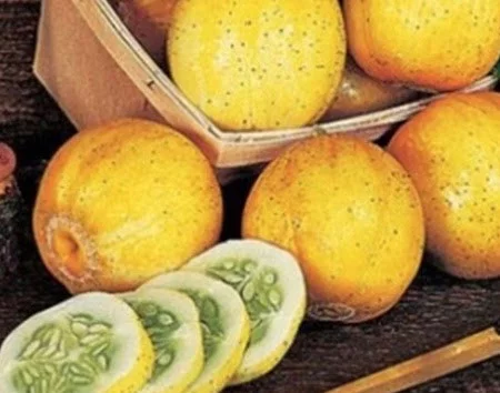 Что это за штука - 103 Reddit, WhatIsThisThing, Перевел сам, Видео, Длиннопост Что это за штука - 103 Reddit, WhatIsThisThing, Перевел сам, Видео, Длиннопост