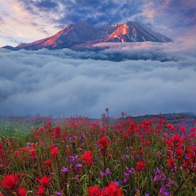 Mount St. Helens - Nature, Landscape, View, beauty, Volcano St. Helens