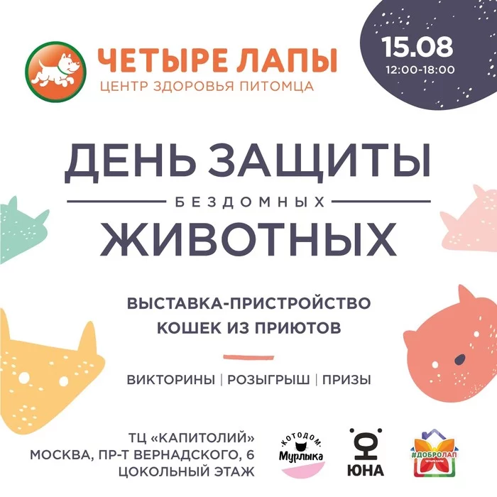 The exhibition-adoption of homeless animals will be held in the chain of pet stores “Four Paws” on August 15th - Animal shelter, cat, Pet Shop, Homeless animals, Charity