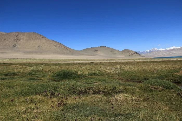 Pamir. Lake Karakul - My, Salt Lake, Nature, Tajikistan, Longpost, Pamir