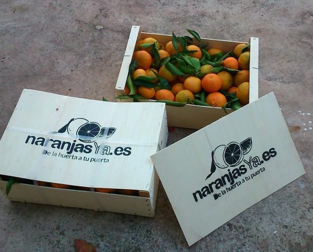 How much do orange pickers earn in Spain? - Spain, Work abroad, Schengen, Europe, European Union, Longpost