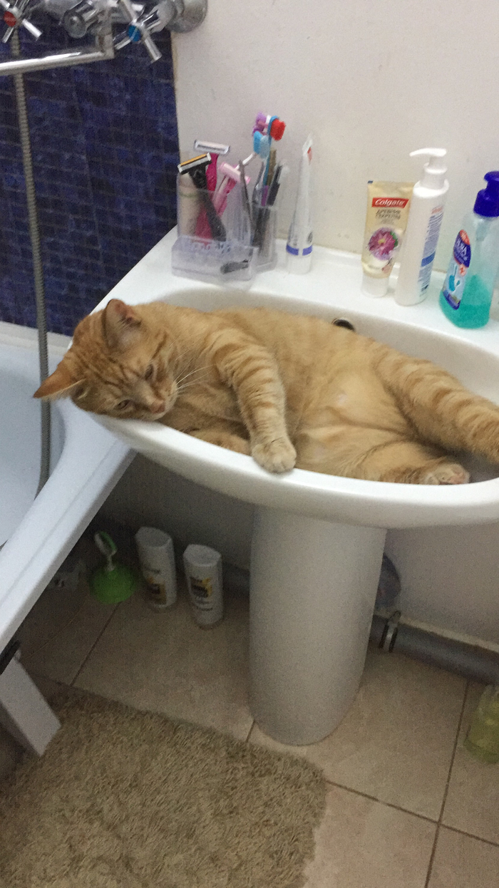 Кот Касперский передает Всем привет )))