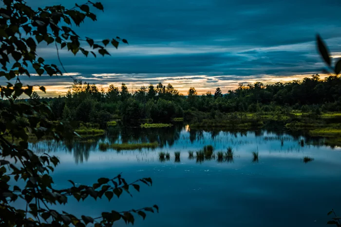 Evening landscape - My, Nature, Sunset, The photo, beauty of nature