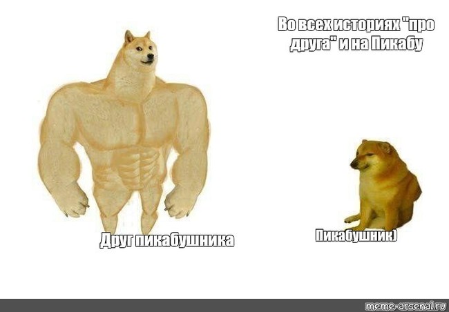 Во всех историях про друга) - Моё, Doge, Про всякое