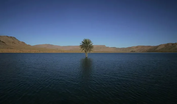 Green world under a layer of sand: what the Sahara looked like 5000 years ago - Interesting, Past, Story, Climate change, Desert, Sahara, Longpost