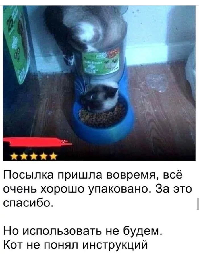 Blunt - cat, Review, Auto Feeder, Screenshot