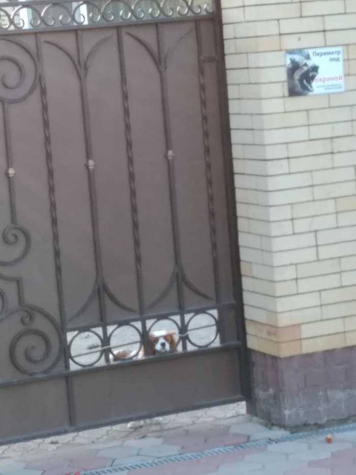 Êîãäà ïåðèìåòð ïîä íàä¸æíîé îõðàíîé