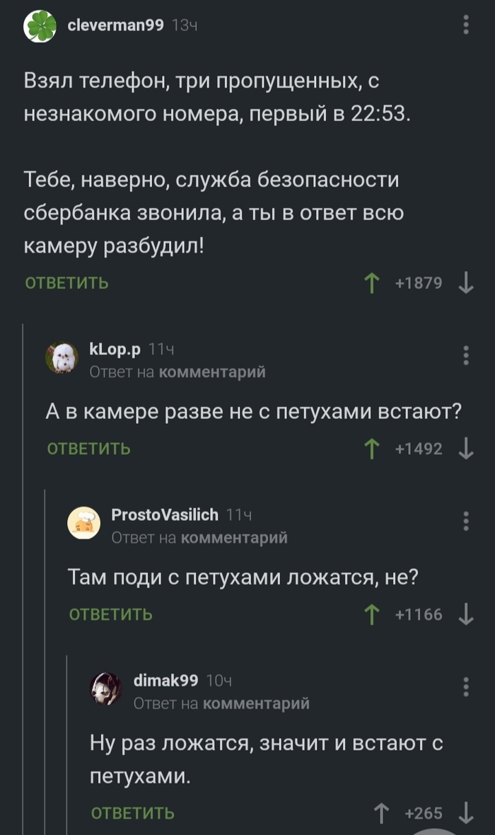 Жаворонки и совы: истории из жизни, советы, новости, юмор и картинки — Все  посты, страница 4 | Пикабу