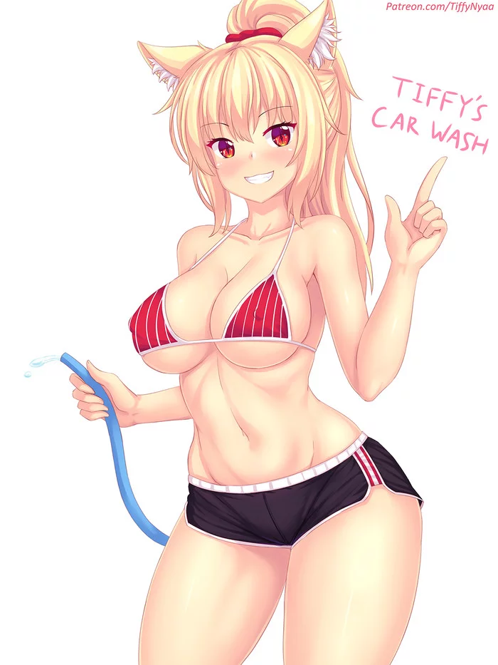 Tiffy's Car wash!! - NSFW, Anime, Anime art, Original character, Fastrunner2024, Tiffy, Animal ears, Breast, Longpost