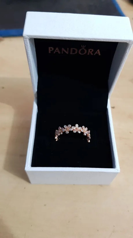 The manufacturer of the engagement ring seems to be hinting - Ring, Package, Sentence, Pandora's Box