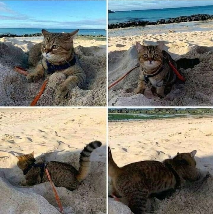 А где здесь туалет?