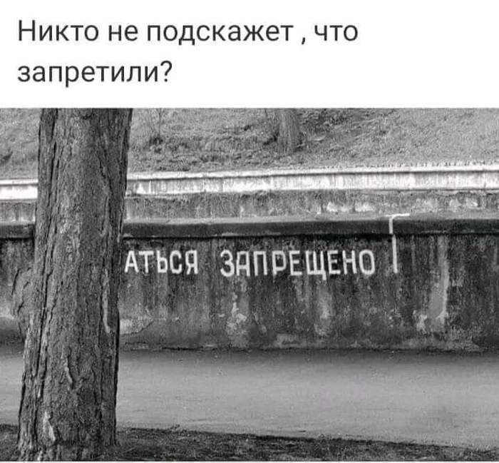 Загадка | Пикабу