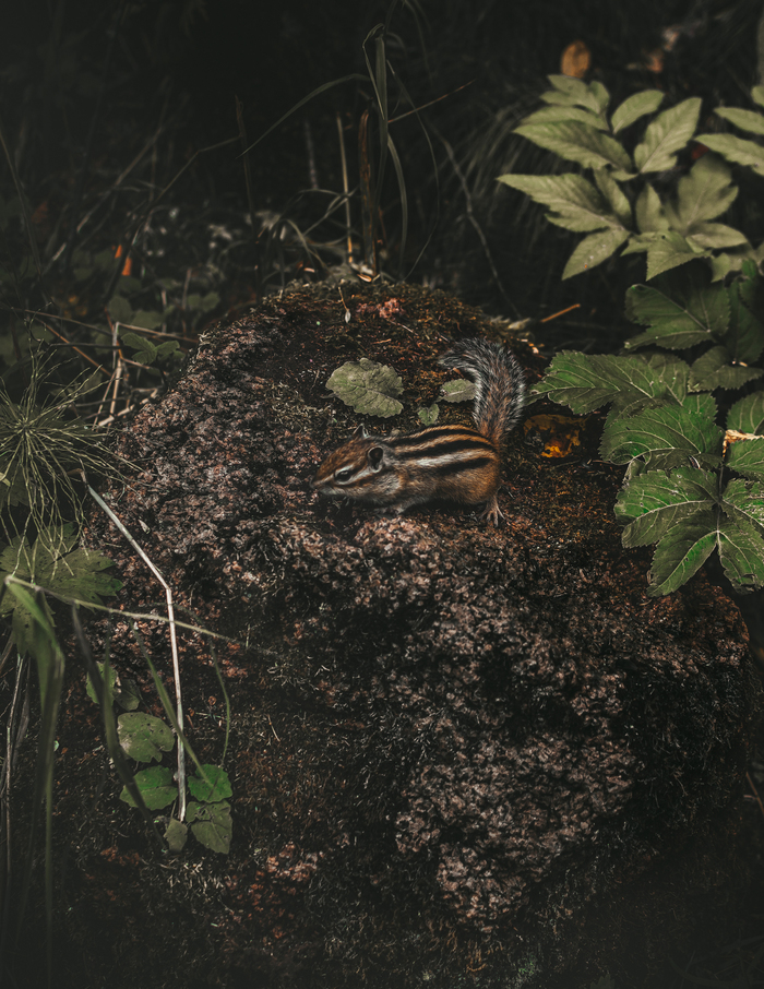 Встреча на Столбах