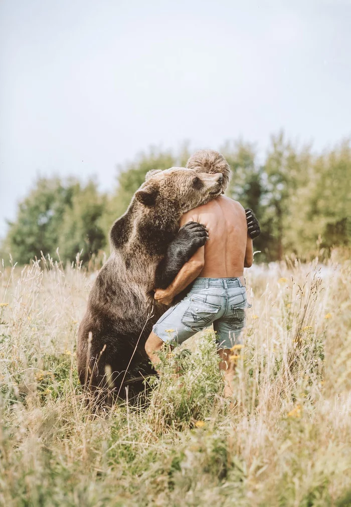 Favorite bear - The Bears, Brown bears, Wild animals, Yaroslavskaya oblast, Taming, Tender Beast, Longpost