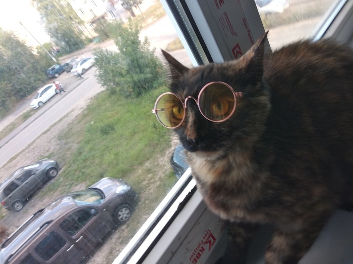   ))) , 