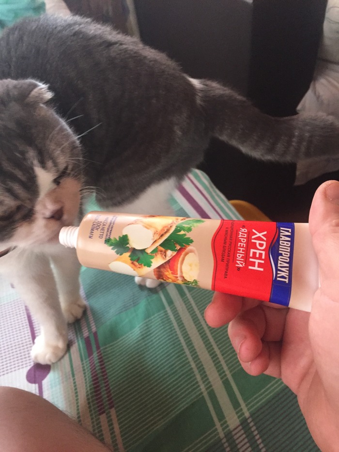 ��� ������� �������� ��� ���� ����