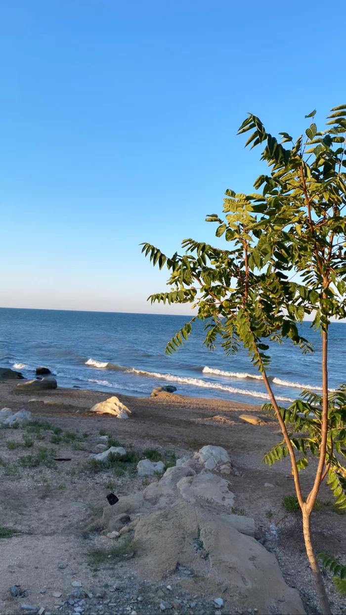 Caspian lake (sea) - My, Vertical video, Caspian Sea, Lake, Sea, Sunset, Video, Longpost