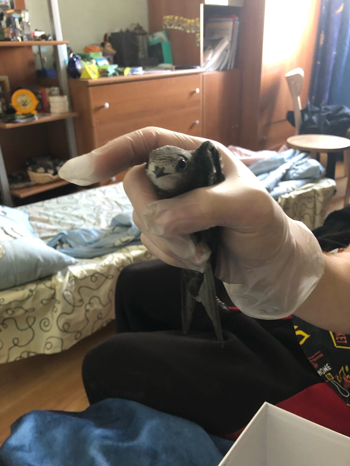        ?