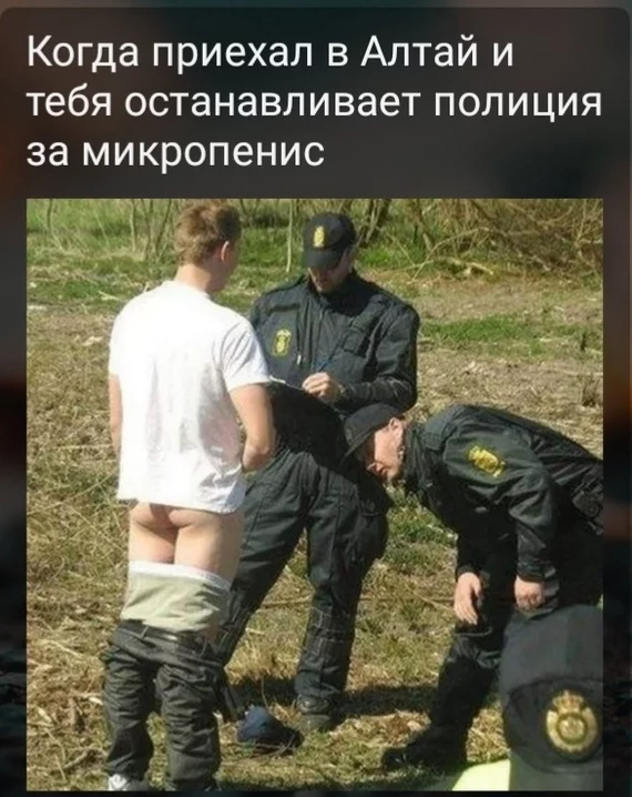 Inside again) - Altai Republic, Penis, Screenshot, Humor