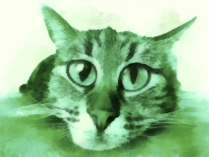 cat - My, Digital drawing, cat