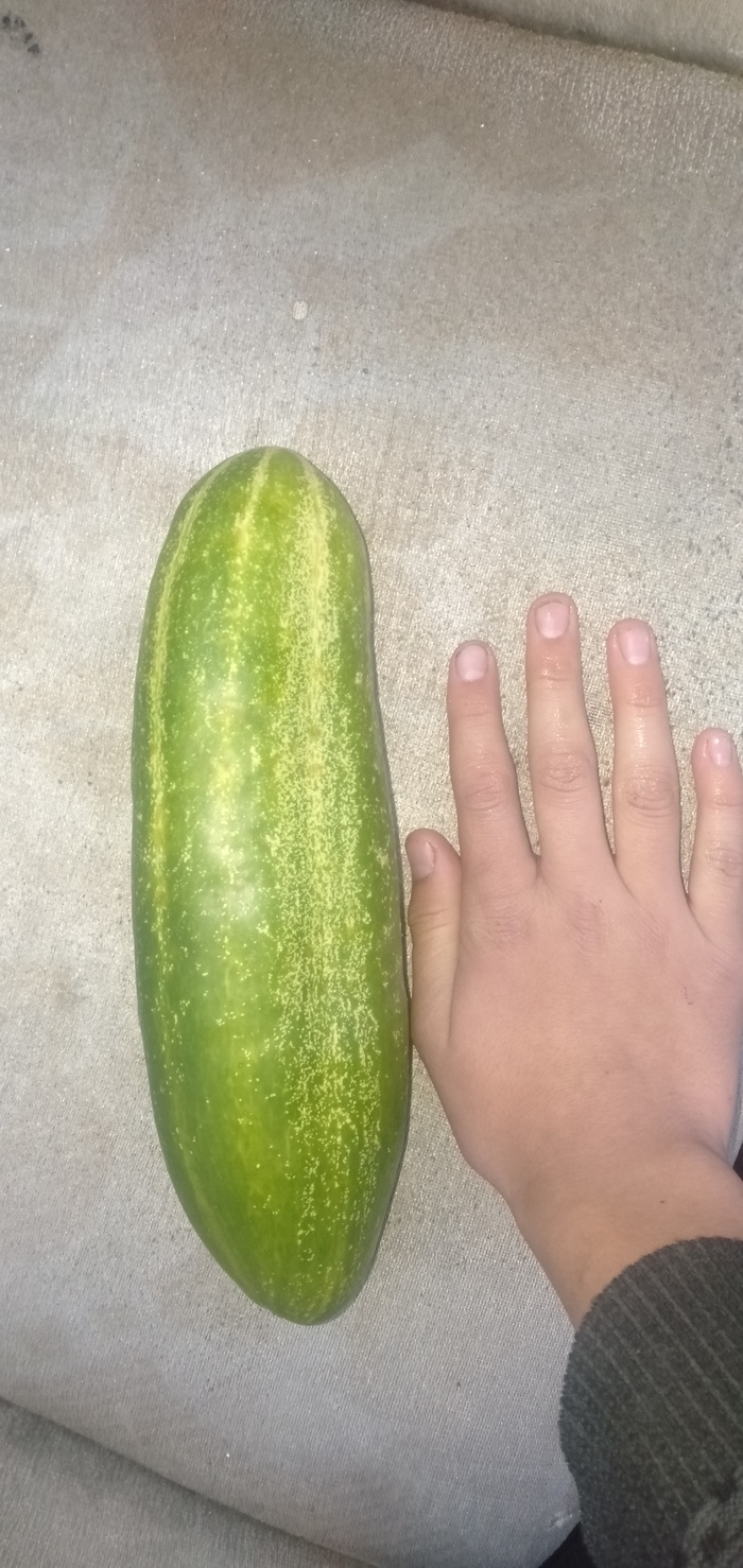   ? , , 