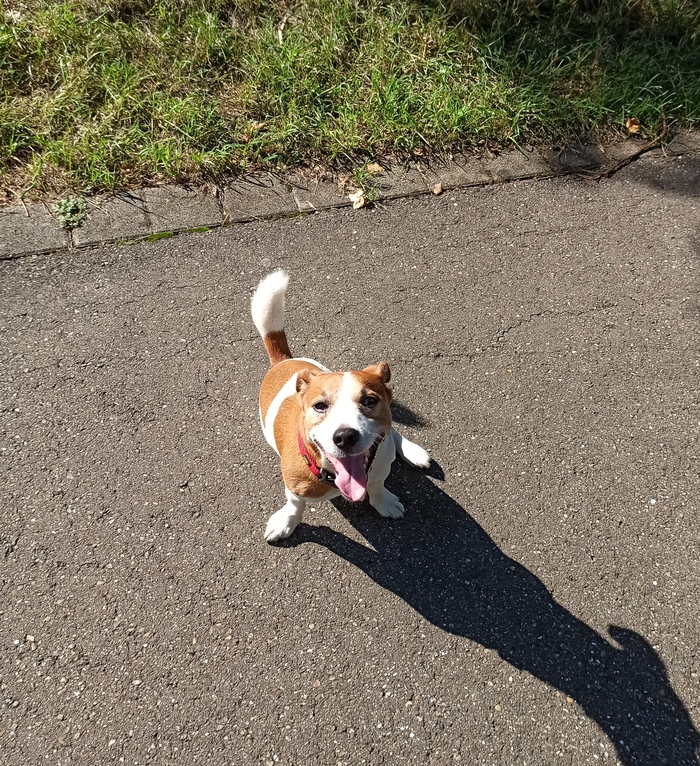 С добрым утром!