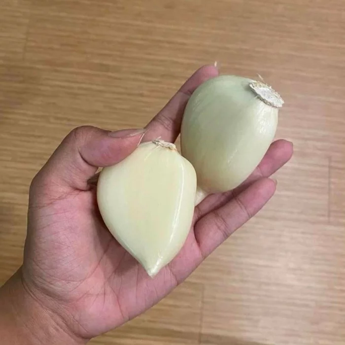 And add a clove of garlic... - Garlic, The size, Big size, , Hand, Humor, Giants