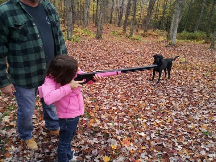 Barbie dolls for girls are no longer in trend - Children, Gun, Firearms, Toys, Pink, Glamor, Dog, Forest, , Nature, Autumn leaves, Weapon