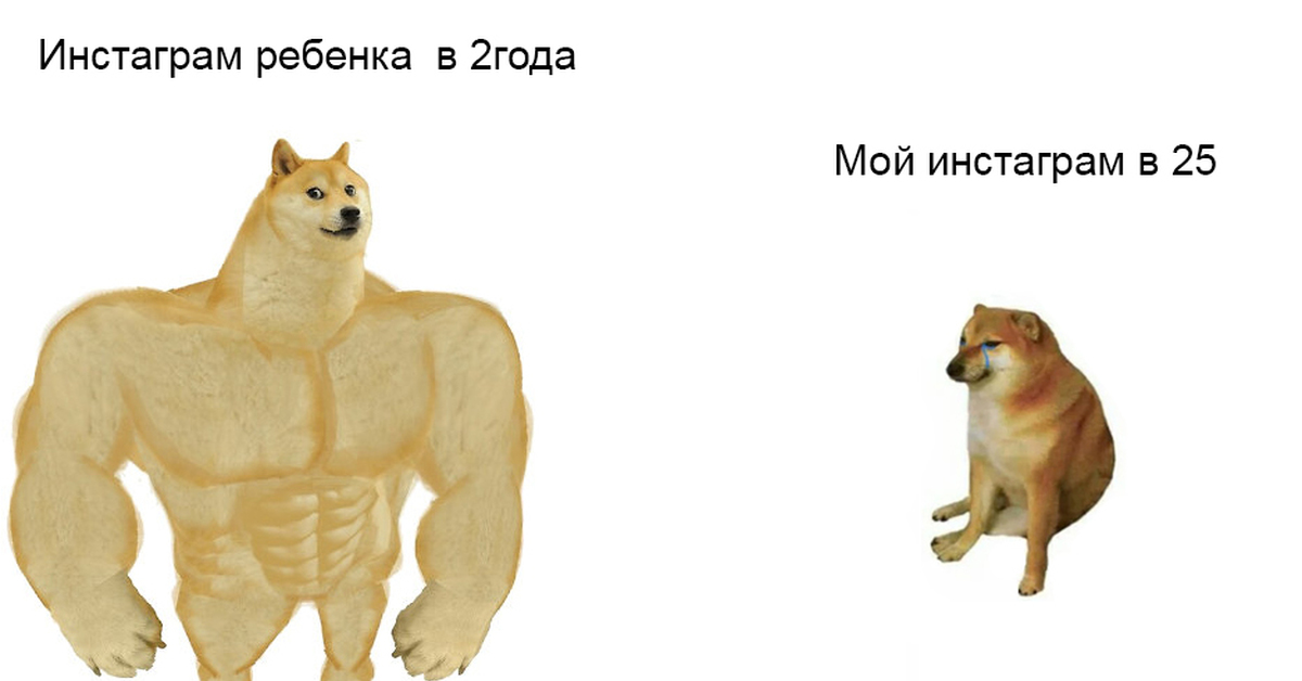 Мем боньк с собакой