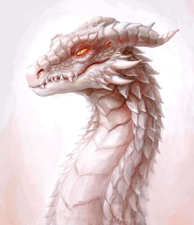 Белые драконы