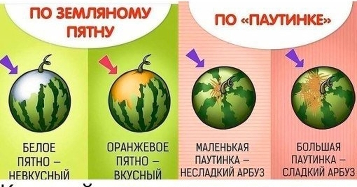 DIY Летняя Открытка Арбуз