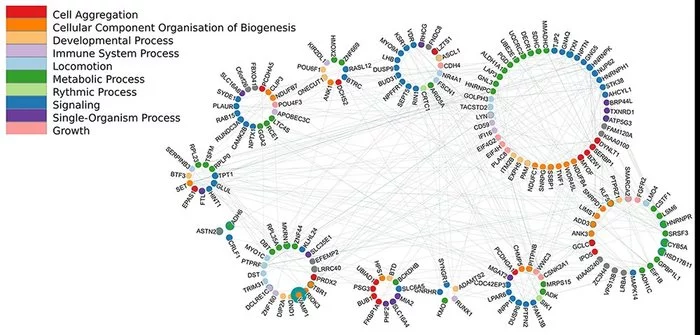 August Update: Displaying Cancer Markers - The science, Mapping, World Community GRID, Longpost, Cancer and oncology, Research