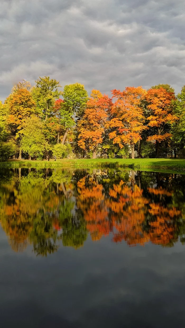 photo with reflection - My, Reflection, Autumn, Landscape, Nature, Nikon, Nokia, Longpost